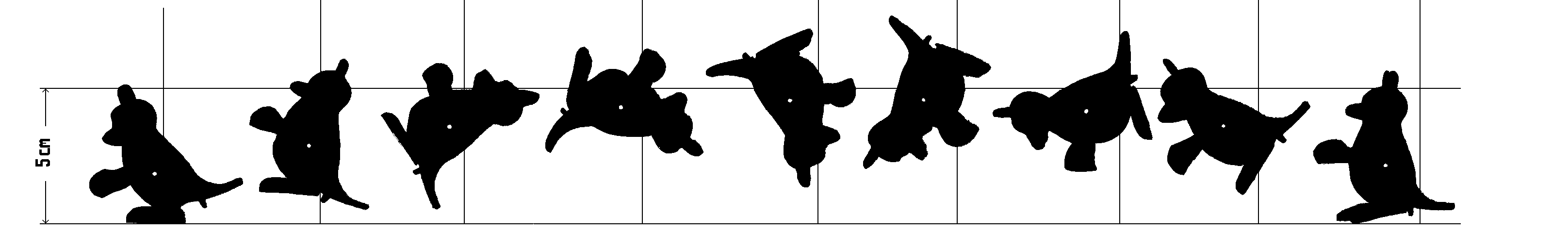 Schwerpunktsbewegung des K&auml;nguruhs